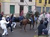 carnavaldeltoro06_caballo17